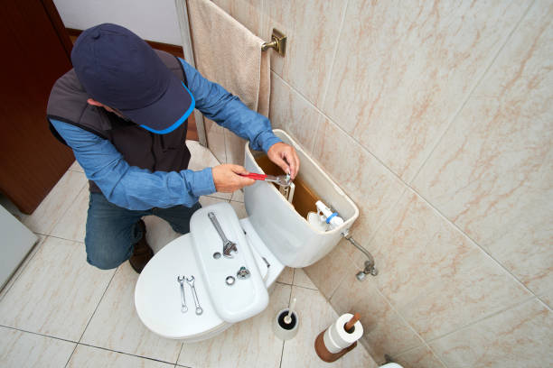 Best Plumbing Inspection Services  in Ara, AL