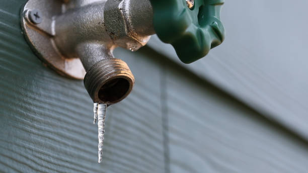 Best Hot Water Heater Installation  in Ara, AL