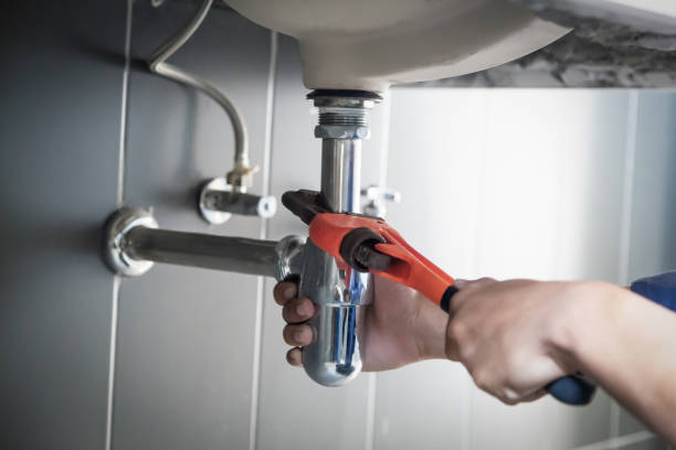 Best Local Plumber Services  in Ara, AL